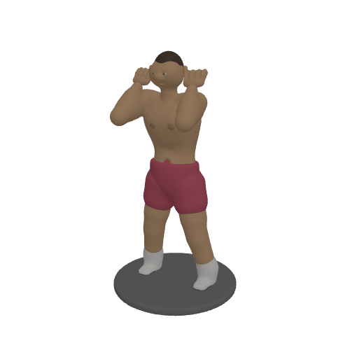 Boxer in Guard