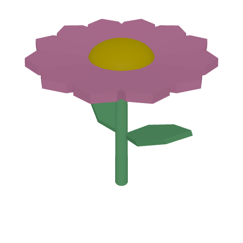 Daisy Flower